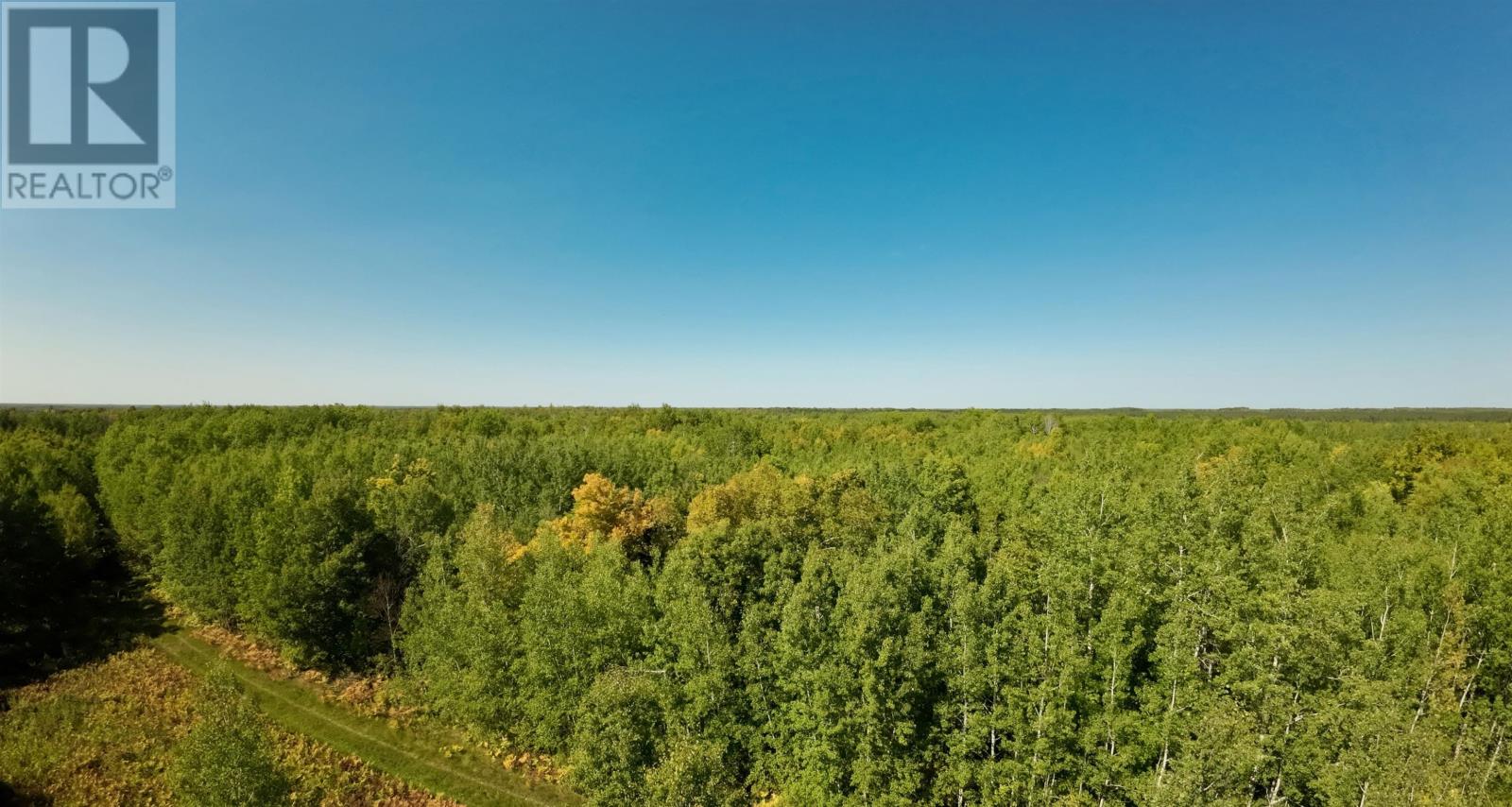 Pcl 46-3 Government Rd, Rainy River, Ontario  P0W 1L0 - Photo 3 - TB2600745