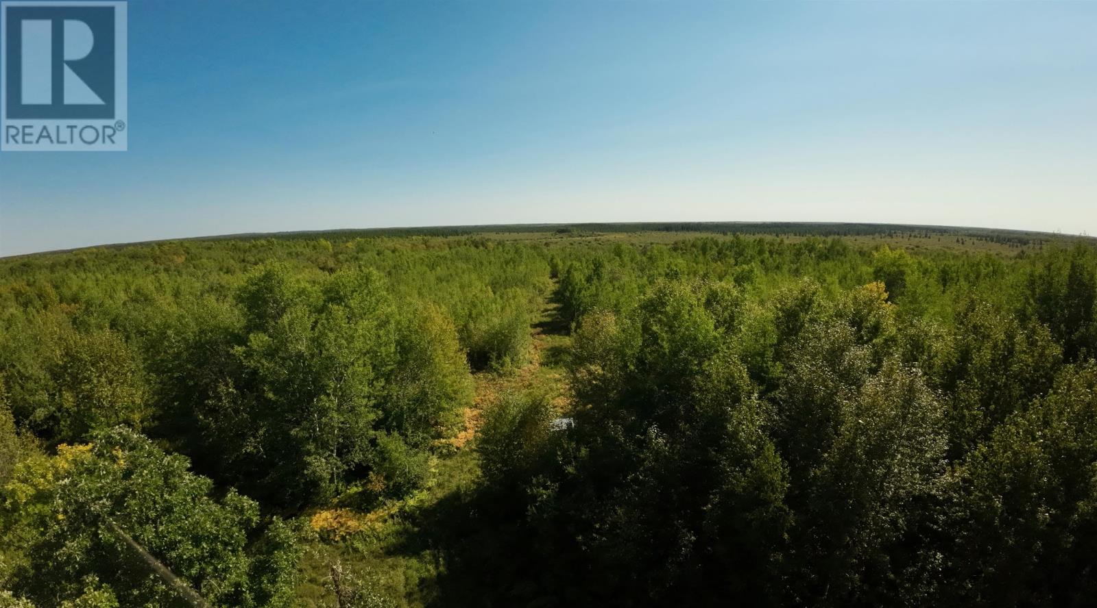 Pcl 46-3 Government Rd, Rainy River, Ontario  P0W 1L0 - Photo 7 - TB2600745