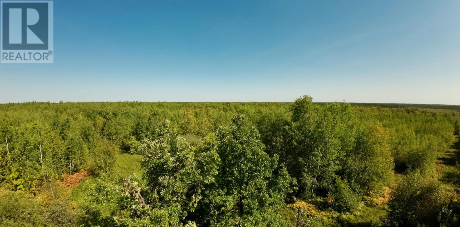 Pcl 46-3 Government Rd, Rainy River, Ontario  P0W 1L0 - Photo 8 - TB2600745