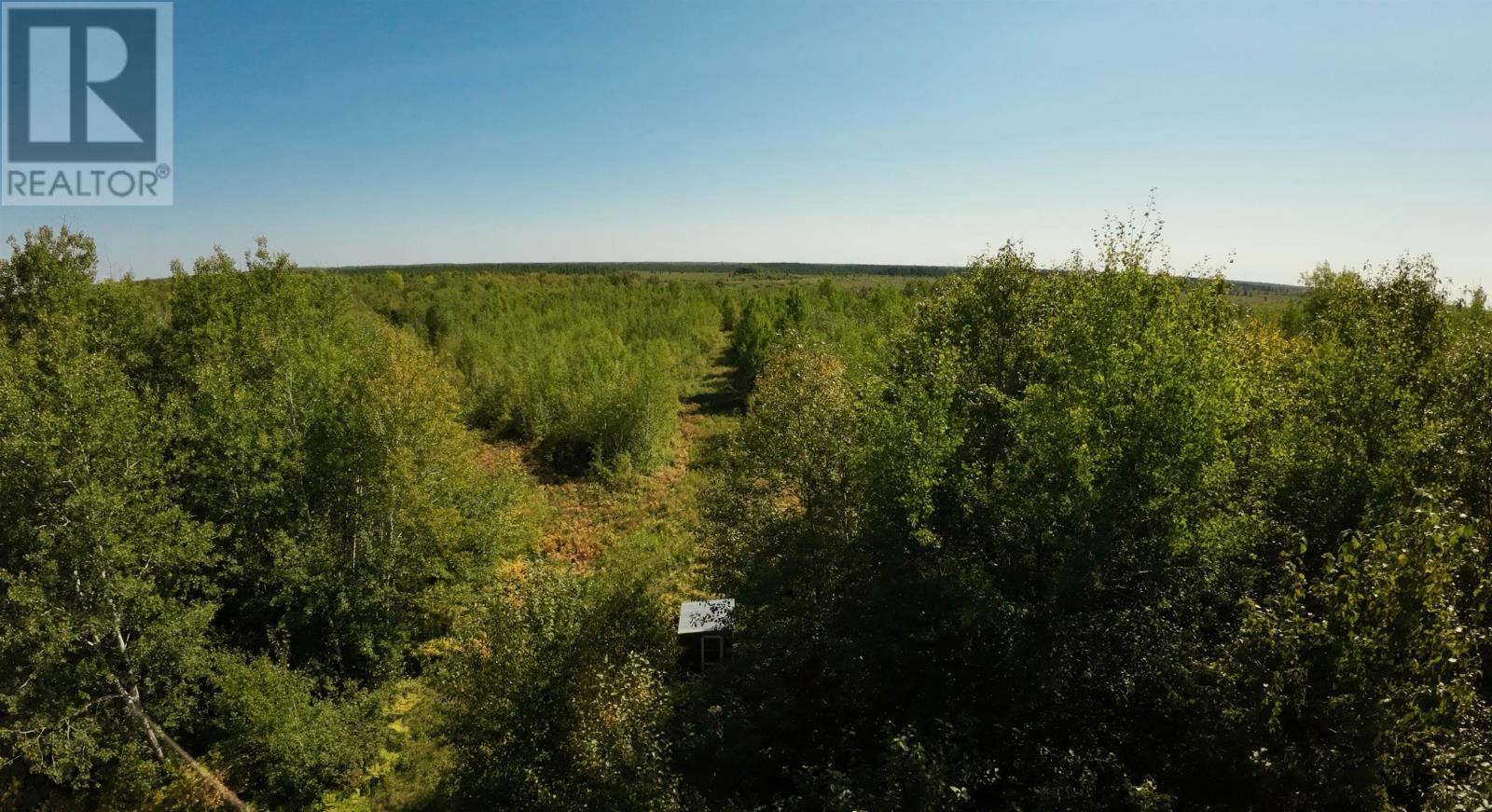 Pcl 46-3 Government Rd, Rainy River, Ontario  P0W 1L0 - Photo 9 - TB2600745