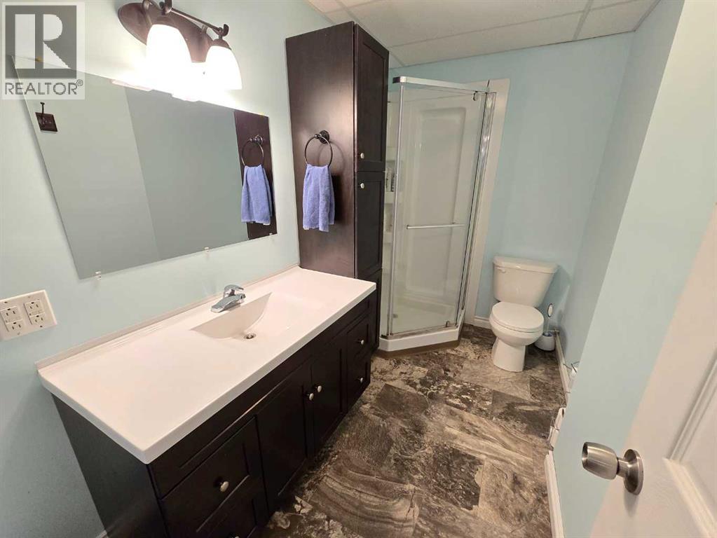 9 Rue Lavoie, St. Isidore, Alberta  T0H 3B0 - Photo 17 - A2303399