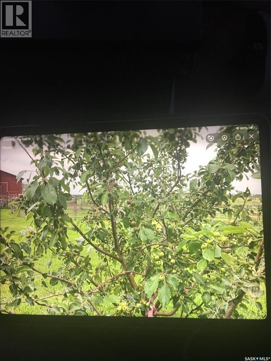 Balgonie Commuter Acreage (Mcmain), South Qu'appelle Rm No. 157, Saskatchewan  S0G 0E0 - Photo 50 - SK033400