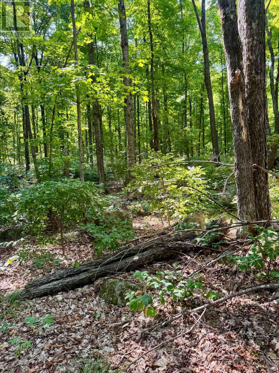 261a Copeland Lake Road, Addington Highlands, Ontario  K0H 1L0 - Photo 11 - X12792794