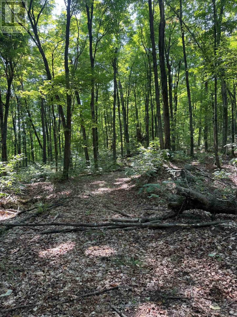 261a Copeland Lake Road, Addington Highlands, Ontario  K0H 1L0 - Photo 13 - X12792794