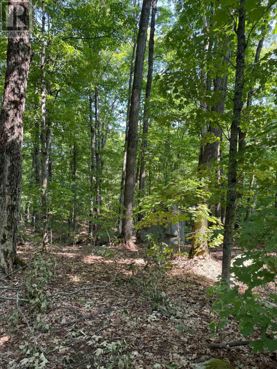 261a Copeland Lake Road, Addington Highlands, Ontario  K0H 1L0 - Photo 15 - X12792794