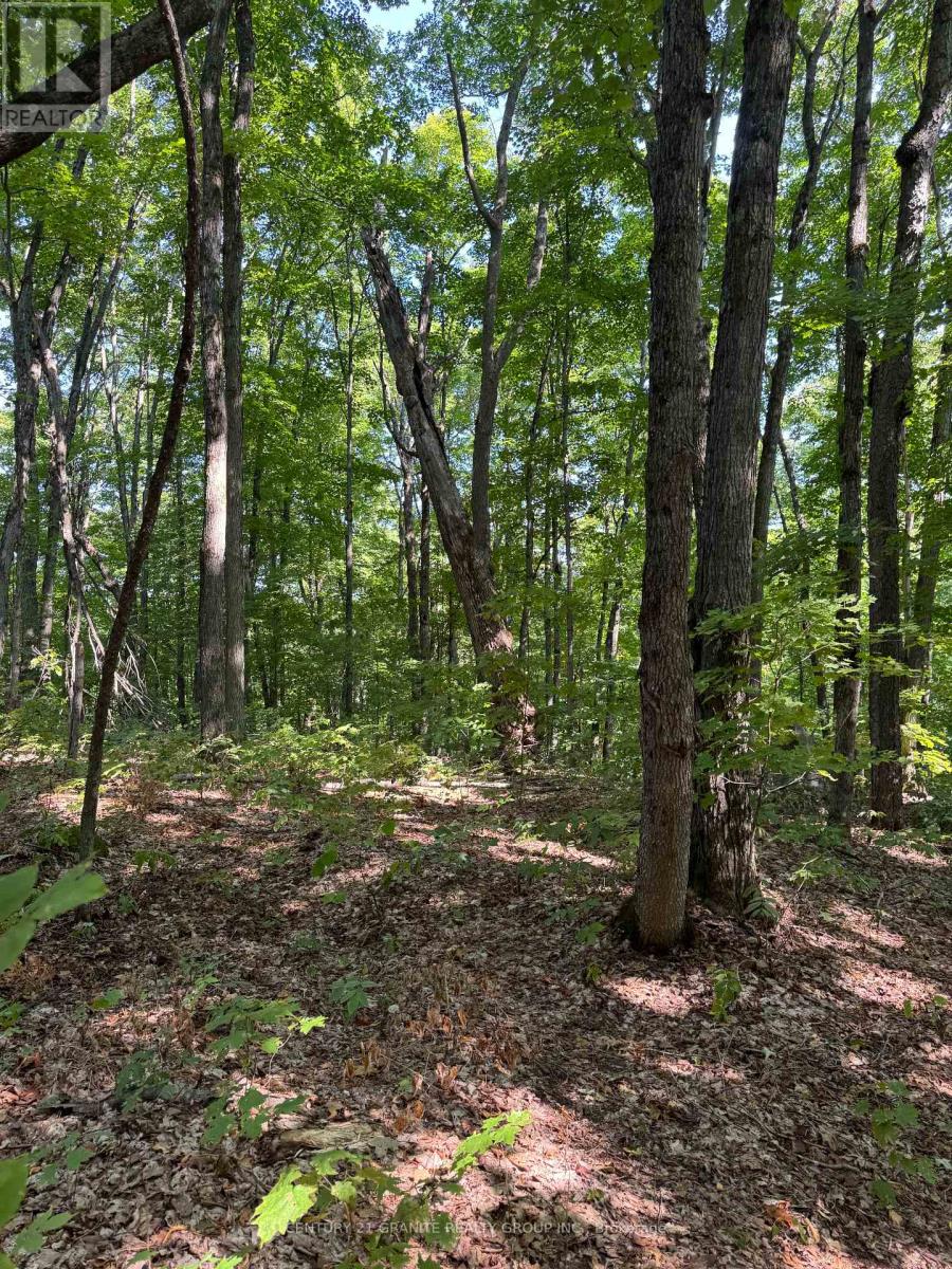 261a Copeland Lake Road, Addington Highlands, Ontario  K0H 1L0 - Photo 14 - X12792794