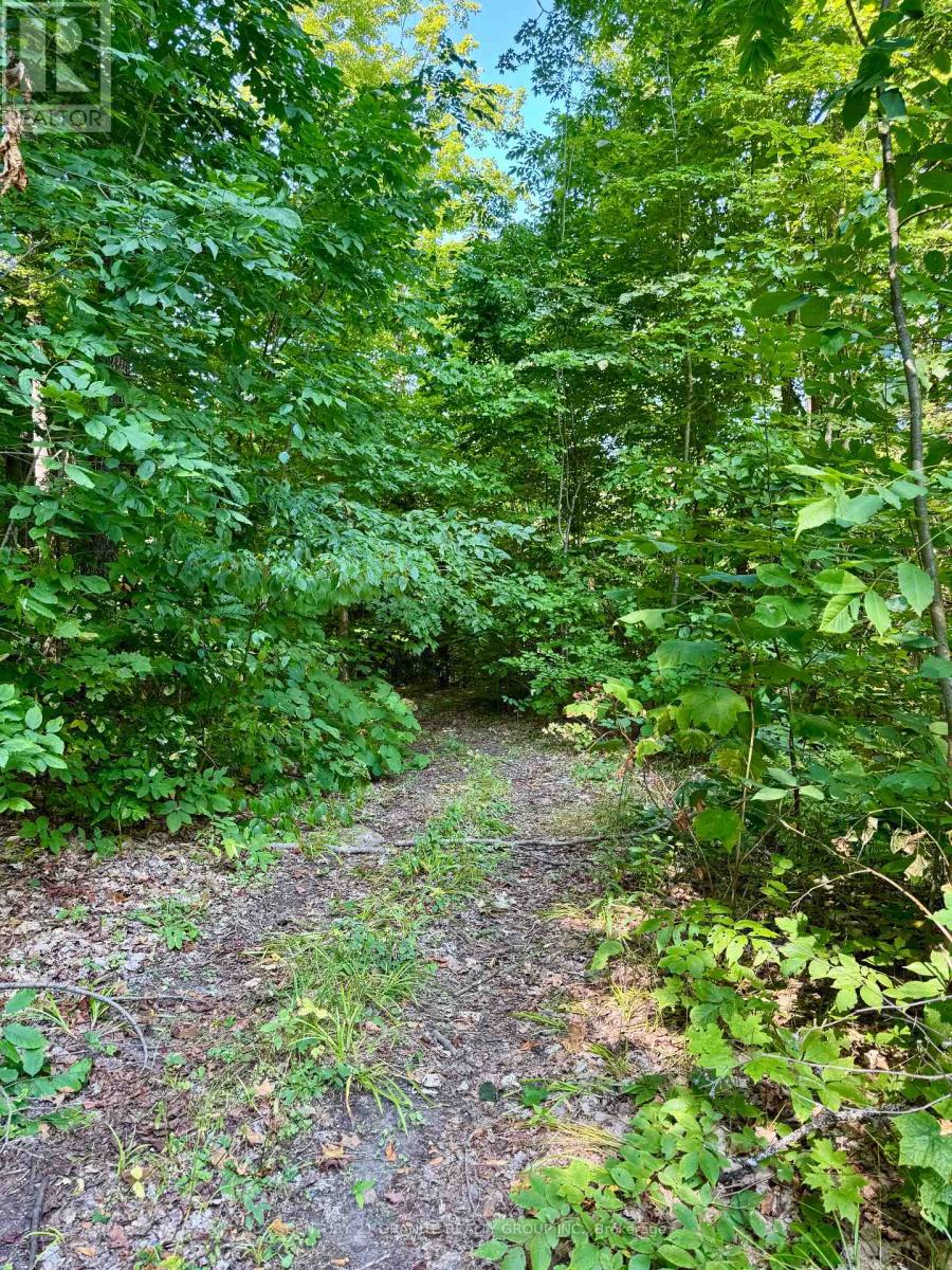 261a Copeland Lake Road, Addington Highlands, Ontario  K0H 1L0 - Photo 6 - X12792794