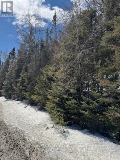 Pcl 13532 624 Highway, Kirkland Lake, Ontario  P0K 1L0 - Photo 2 - T12944988