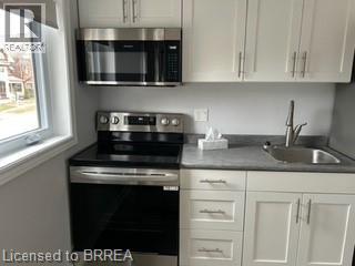 169 Darling Street, Brantford, Ontario  N3S 3W5 - Photo 10 - 40817185