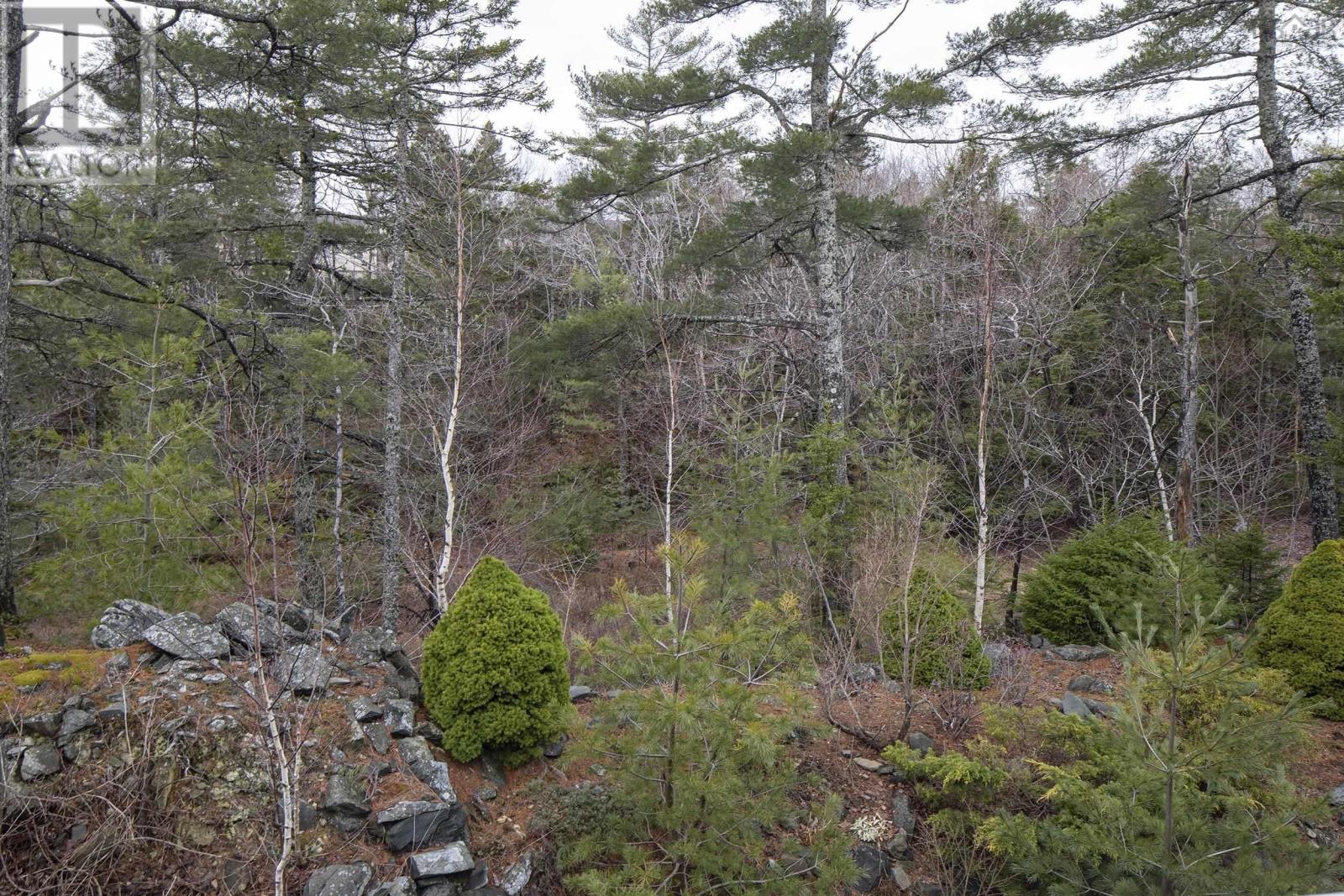 44 Kirkwood Court, Bedford, Nova Scotia  B4A 0A8 - Photo 12 - 202607968