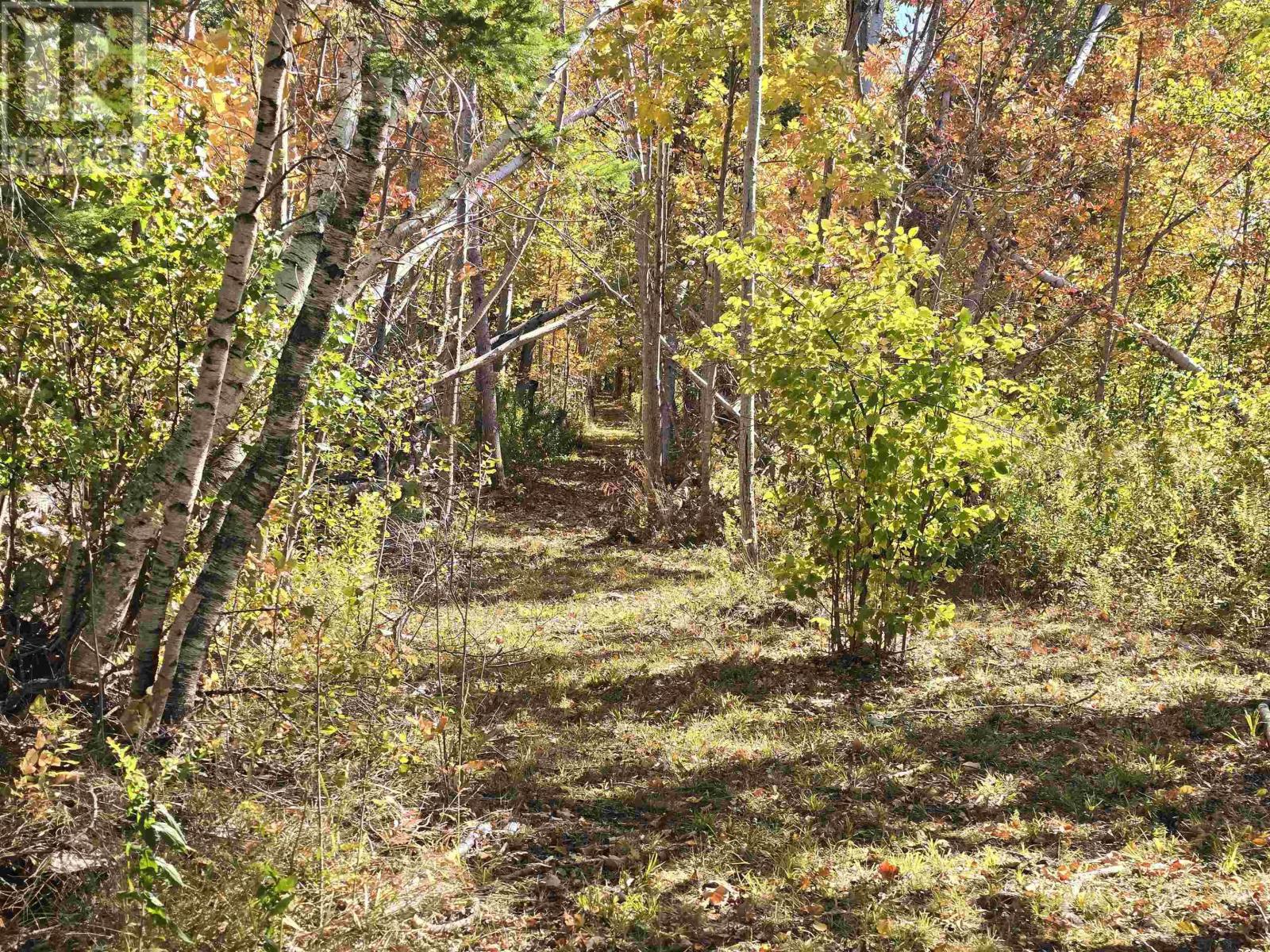 Loch Broom Loop, Loch Broom, Nova Scotia  B0K 2A0 - Photo 9 - 202607998