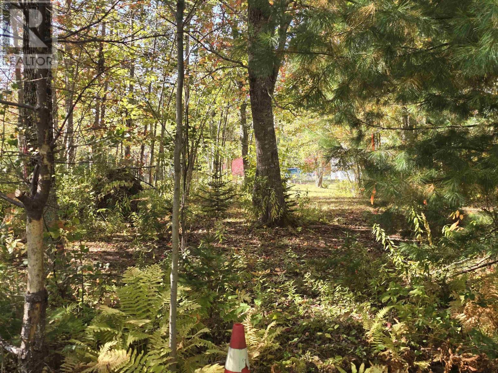 Loch Broom Loop, Loch Broom, Nova Scotia  B0K 2A0 - Photo 10 - 202607998