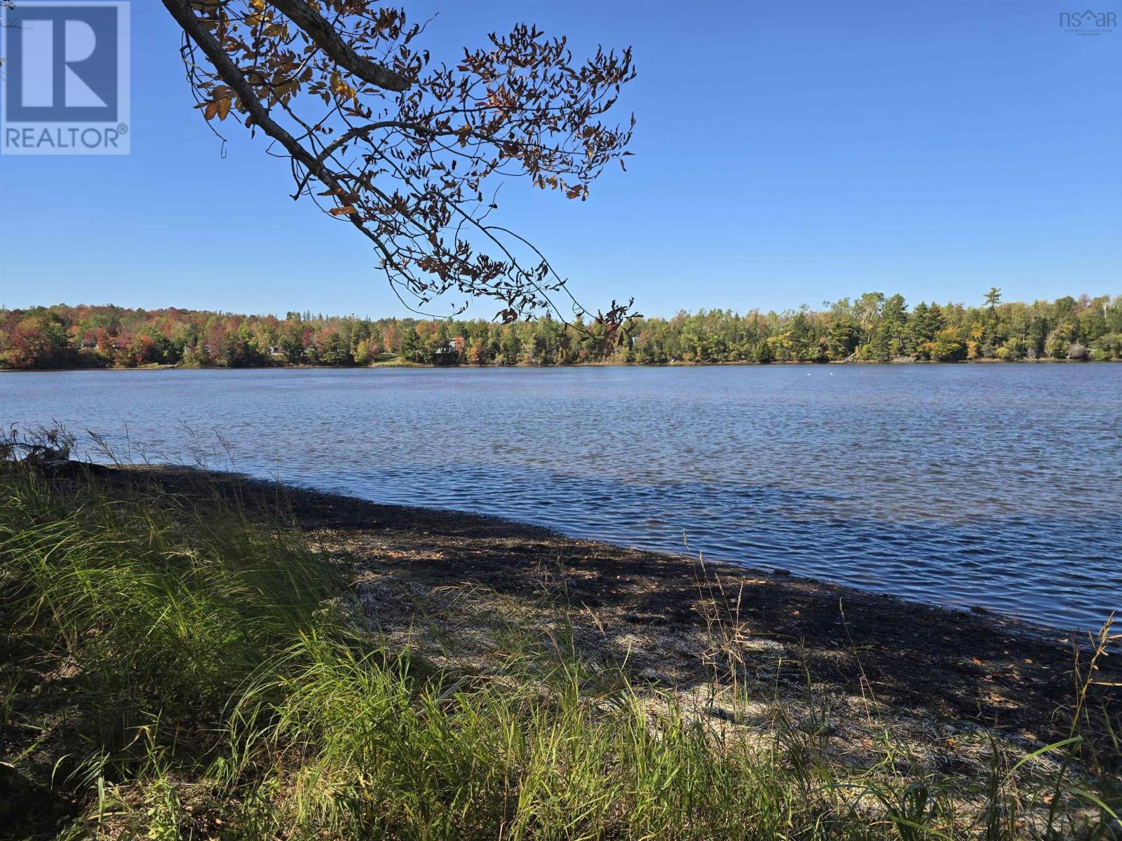 Loch Broom Loop, Loch Broom, Nova Scotia  B0K 2A0 - Photo 7 - 202607998