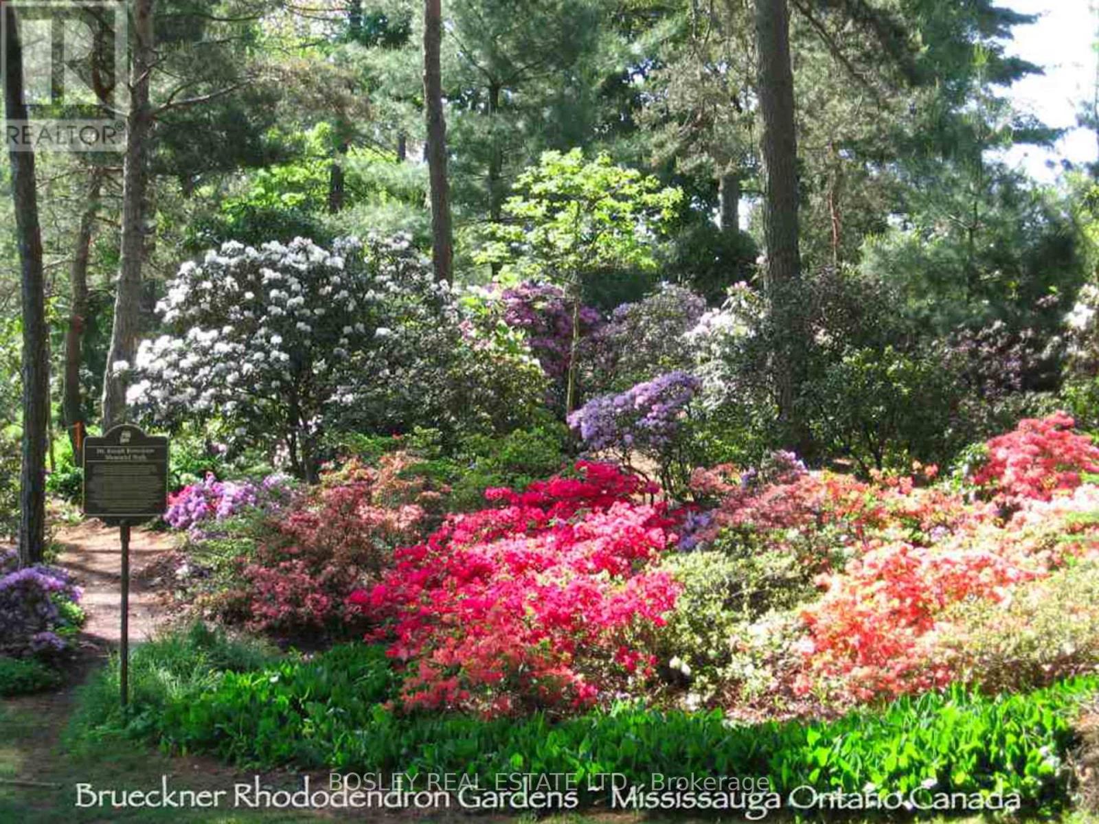 29 Godfrey's Lane, Mississauga, Ontario  L5H 2T1 - Photo 47 - W13020232