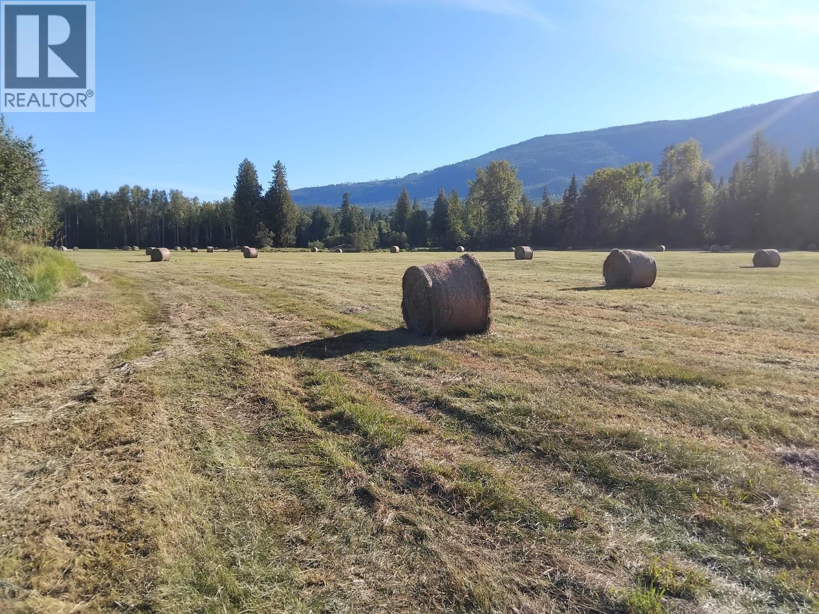 Langille Road, Edgewood, British Columbia  V0G 1J0 - Photo 10 - 10384090