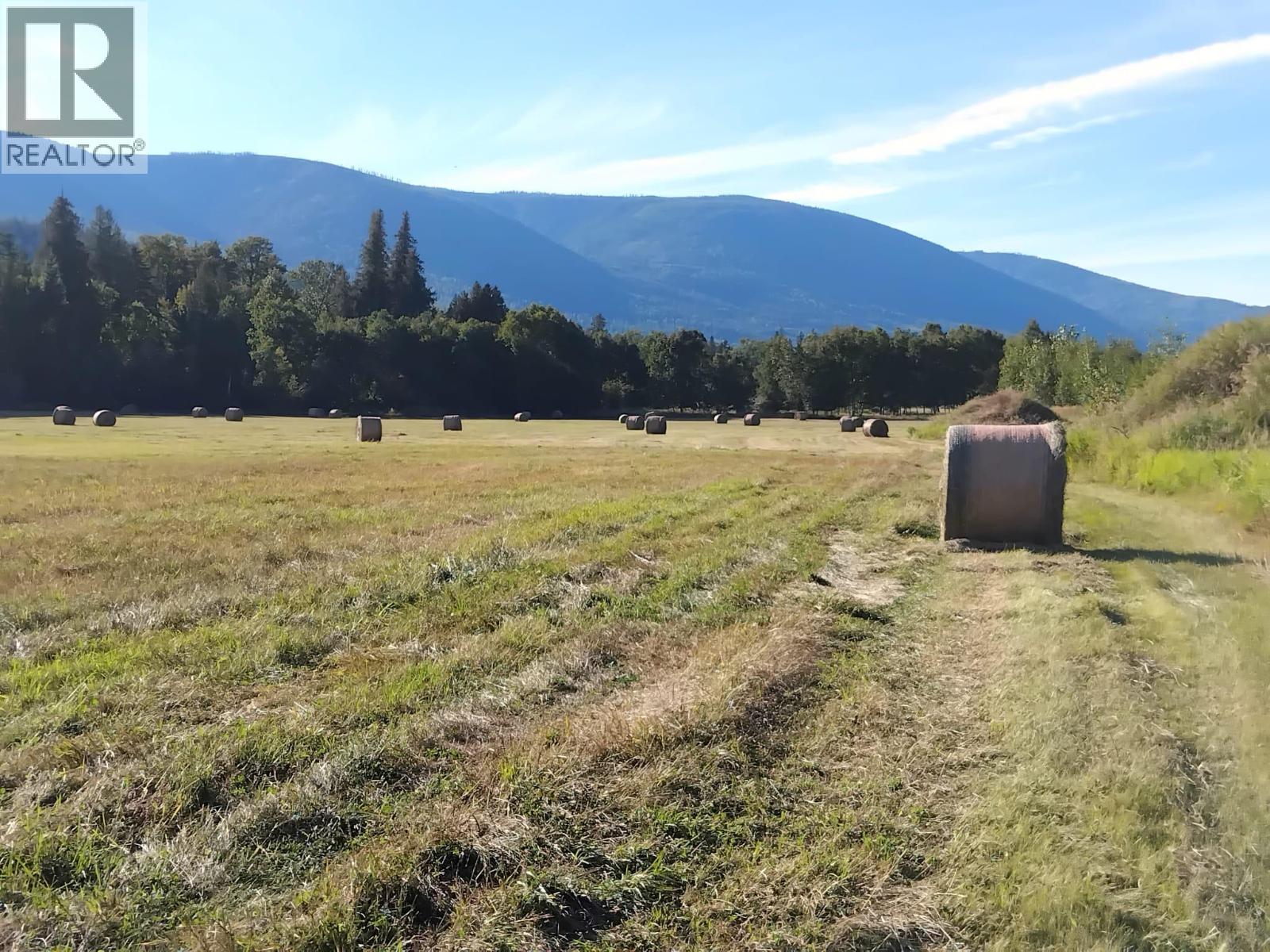 Langille Road, Edgewood, British Columbia  V0G 1J0 - Photo 11 - 10384090