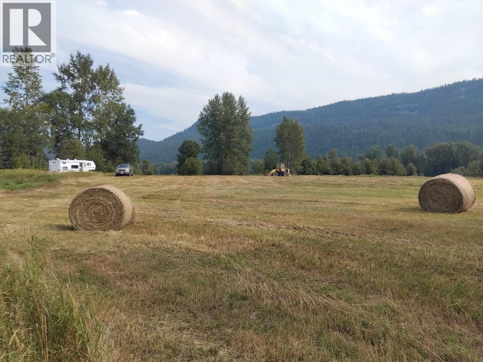 Langille Road, Edgewood, British Columbia  V0G 1J0 - Photo 14 - 10384090