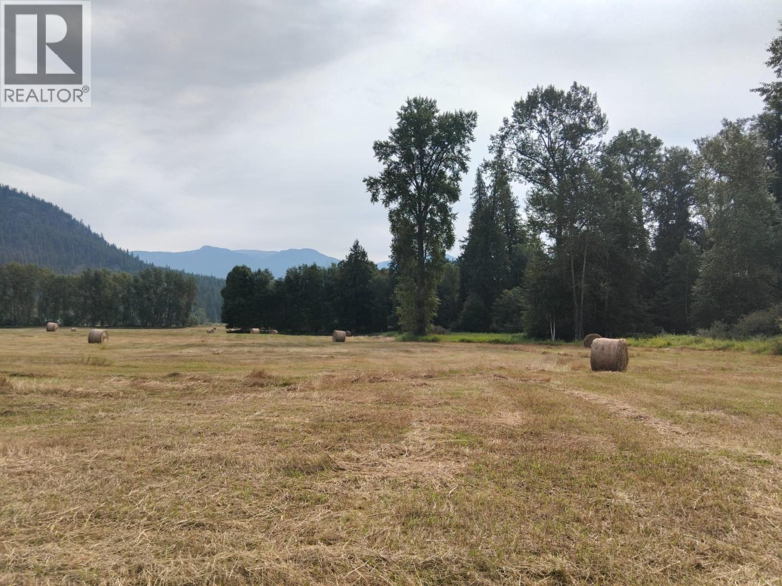 Langille Road, Edgewood, British Columbia  V0G 1J0 - Photo 17 - 10384090