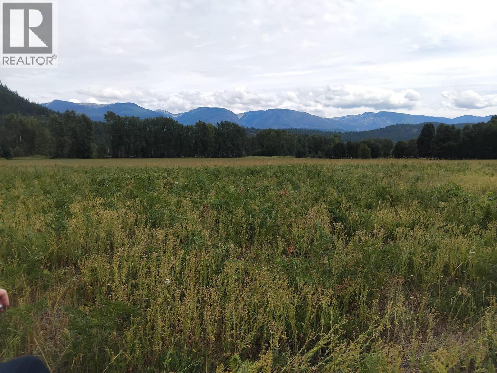 Langille Road, Edgewood, British Columbia  V0G 1J0 - Photo 3 - 10384090