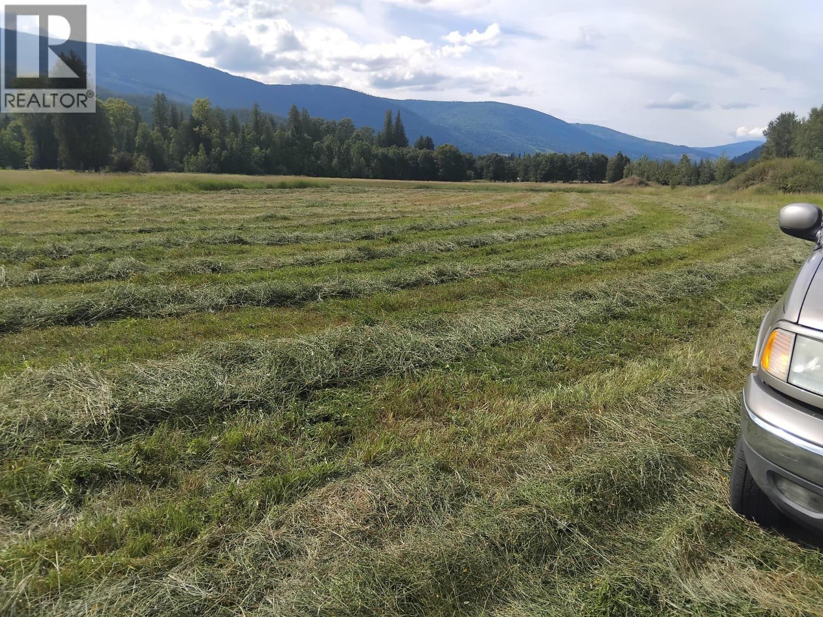 Langille Road, Edgewood, British Columbia  V0G 1J0 - Photo 6 - 10384090