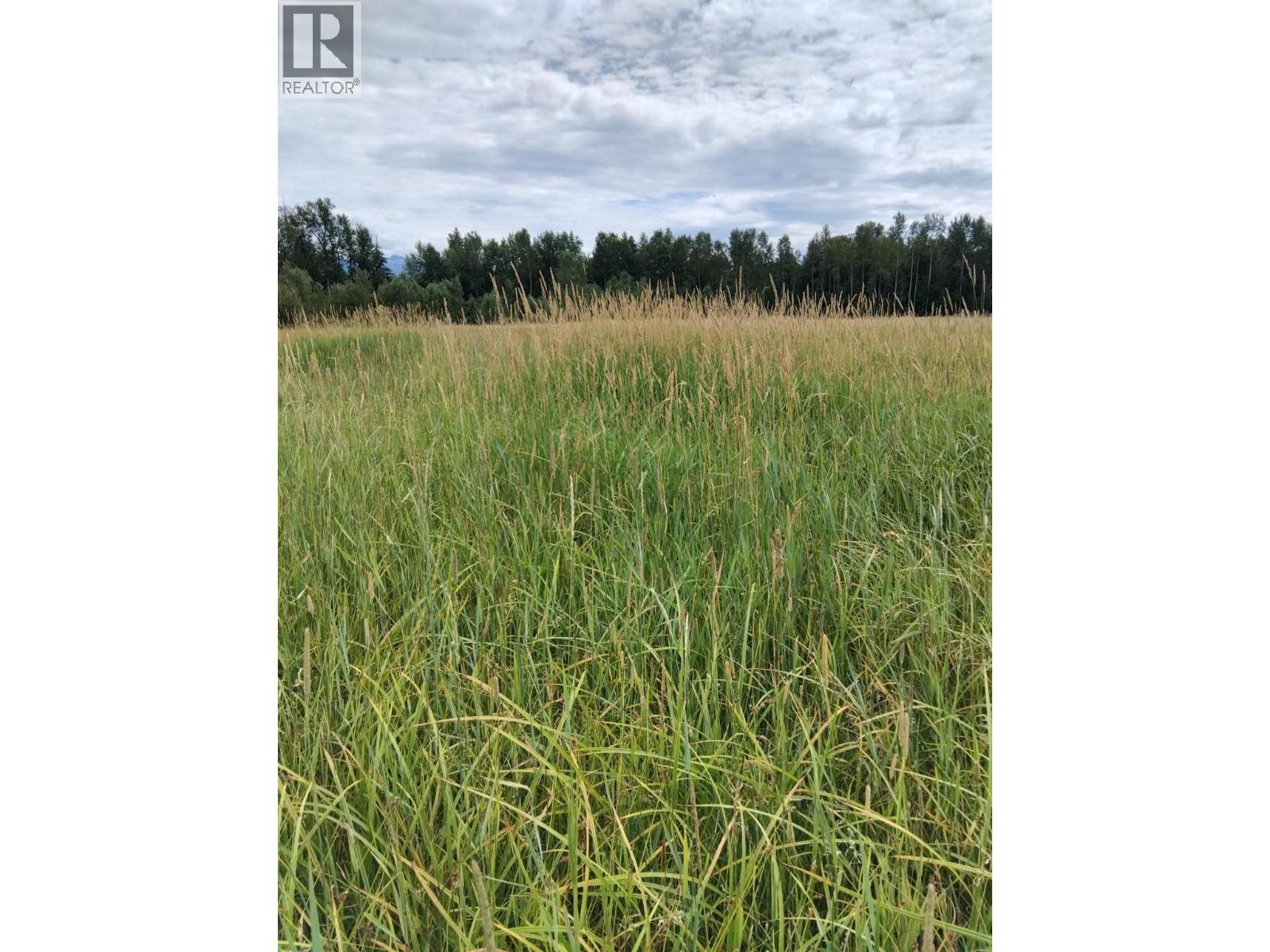 Langille Road, Edgewood, British Columbia  V0G 1J0 - Photo 7 - 10384090