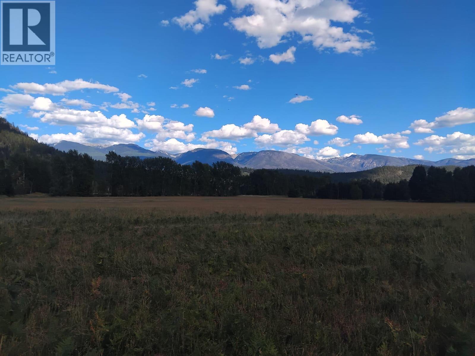 Langille Road, Edgewood, British Columbia  V0G 1J0 - Photo 9 - 10384090