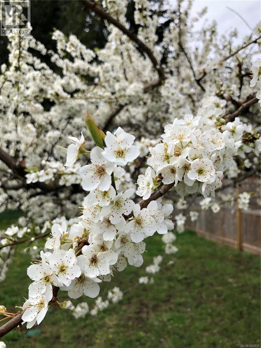 1520 King Rd, Qualicum Beach, British Columbia  V9K 2A8 - Photo 25 - 1023737