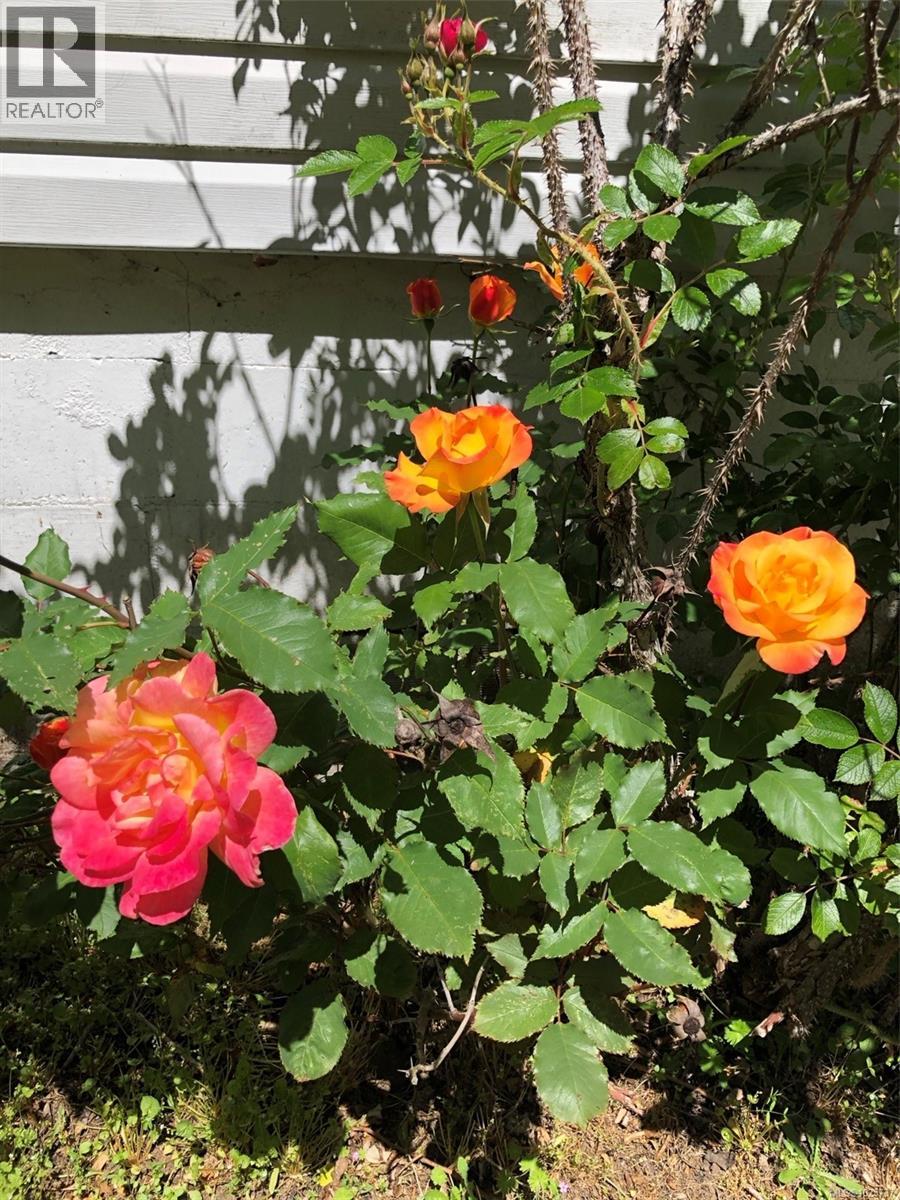 1520 King Rd, Qualicum Beach, British Columbia  V9K 2A8 - Photo 28 - 1023737