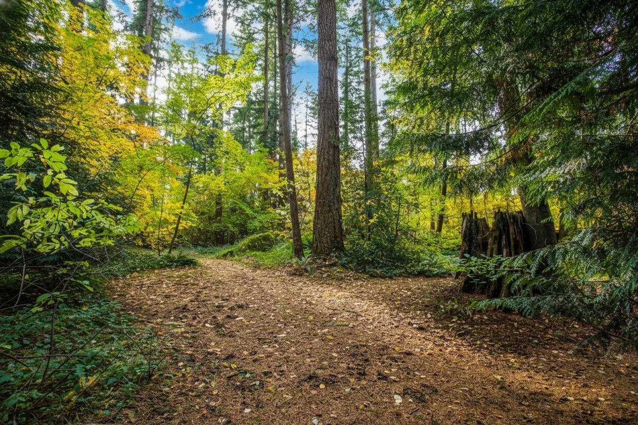 13915 27 Avenue, Surrey, British Columbia  V4P 1T4 - Photo 33 - R3113354