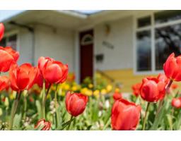 9726 JUNIPER STREET|Chilliwack Proper East, Chilliwack, British Columbia