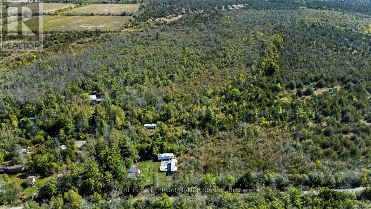 467 Lighthall Road, Prince Edward County, Ontario  K0K 2P0 - Photo 3 - X13020998