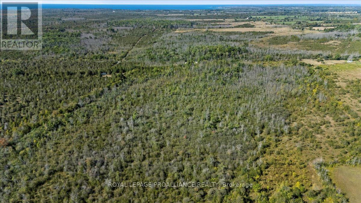 467 Lighthall Road, Prince Edward County, Ontario  K0K 2P0 - Photo 8 - X13020998