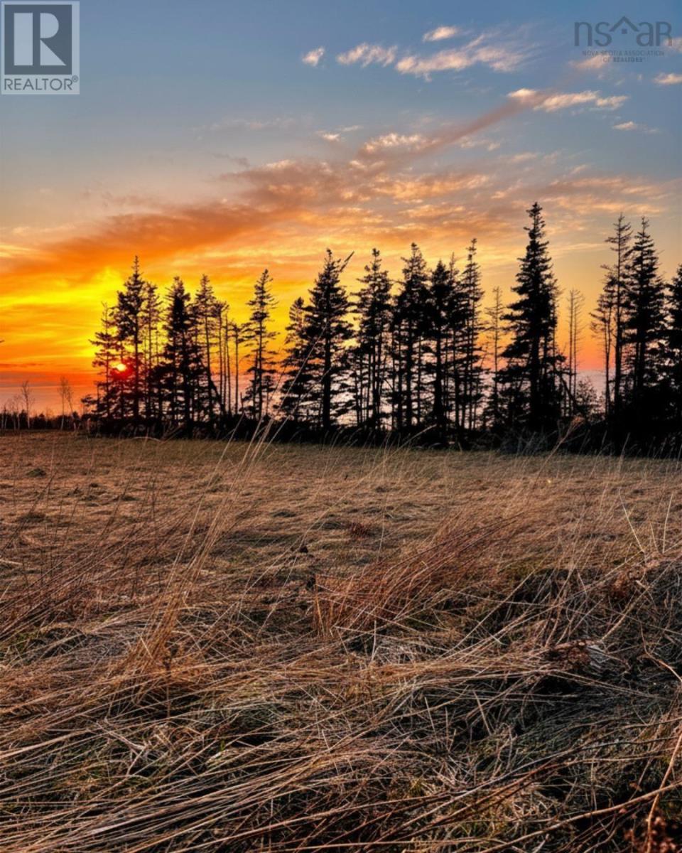 23-1 Broad Cove Banks Road, Inverness, Nova Scotia  B0E 1N0 - Photo 3 - 202607336