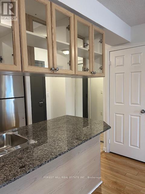 808 - 925 Bay Street, Toronto, Ontario  M5S 3L4 - Photo 4 - C13020856