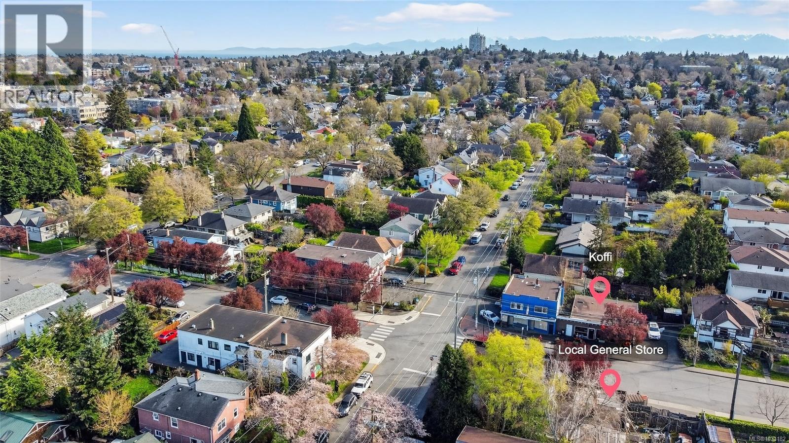 1419 Haultain St, Victoria, British Columbia  V8R 2J6 - Photo 46 - 1031182