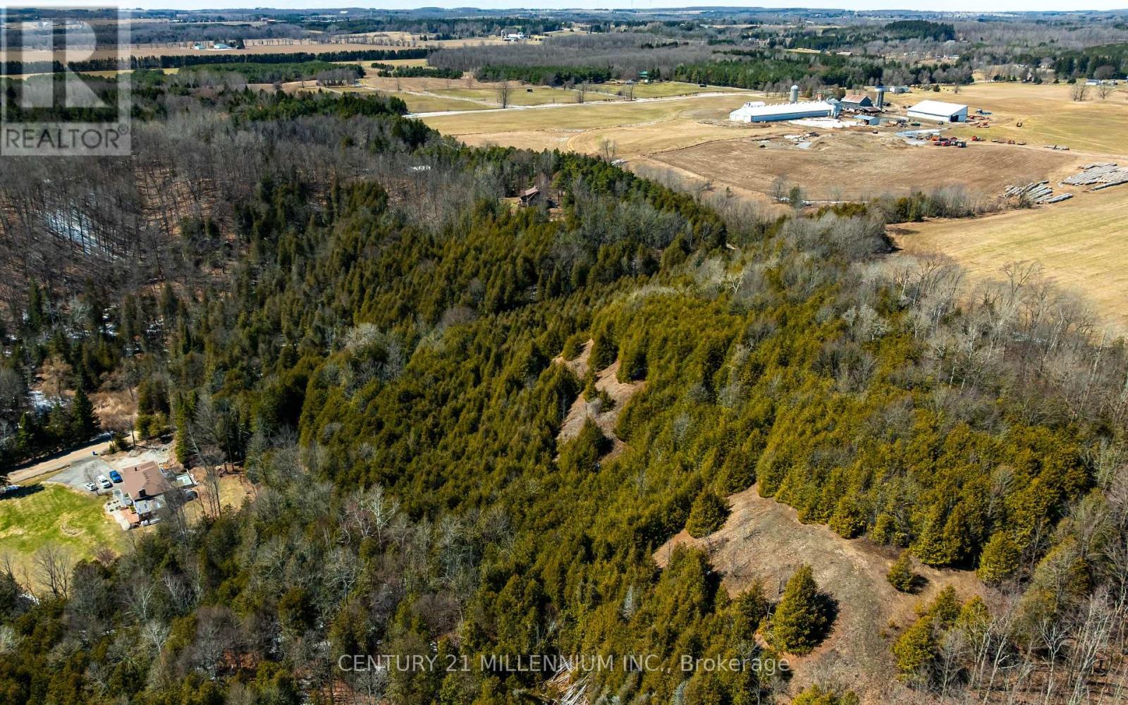 713467 1st Line Ehs Line, Mono, Ontario  L9W 5T3 - Photo 11 - X12973874