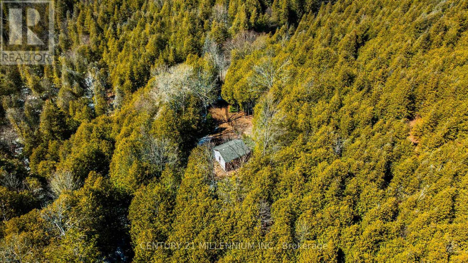 713467 1st Line Ehs Line, Mono, Ontario  L9W 5T3 - Photo 19 - X12973874