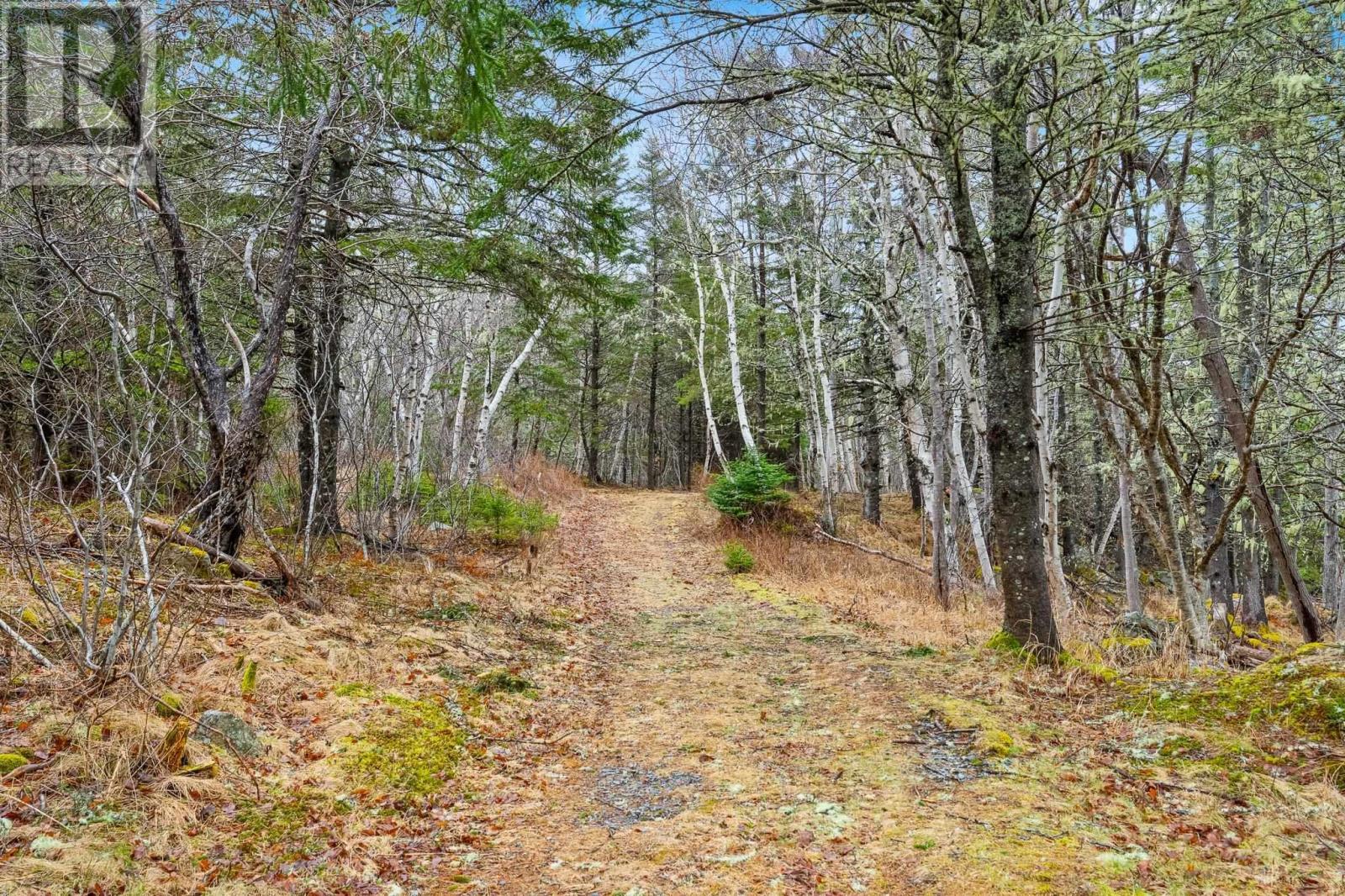 3087 Highway 329, Northwest Cove, Nova Scotia  B0J 1T0 - Photo 39 - 202608009