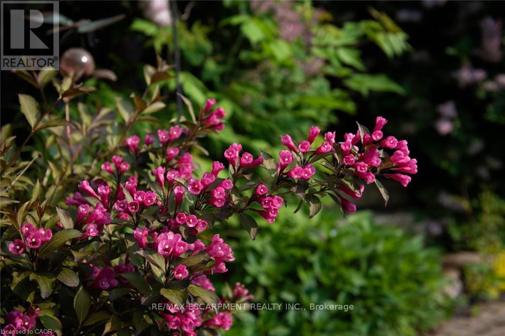 2338 Norland Drive, Burlington, Ontario  L7L 7E6 - Photo 47 - W13020902