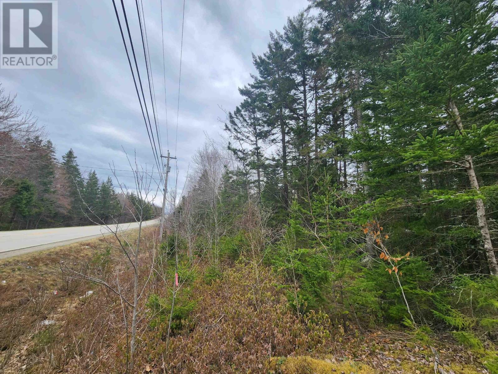 Lot Highway 340, Pleasant Valley, Nova Scotia  B5A 5P1 - Photo 5 - 202608015