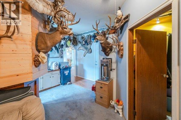 5009 13th Avenue, Okanagan Falls, British Columbia  V0H 1R4 - Photo 45 - 10384117