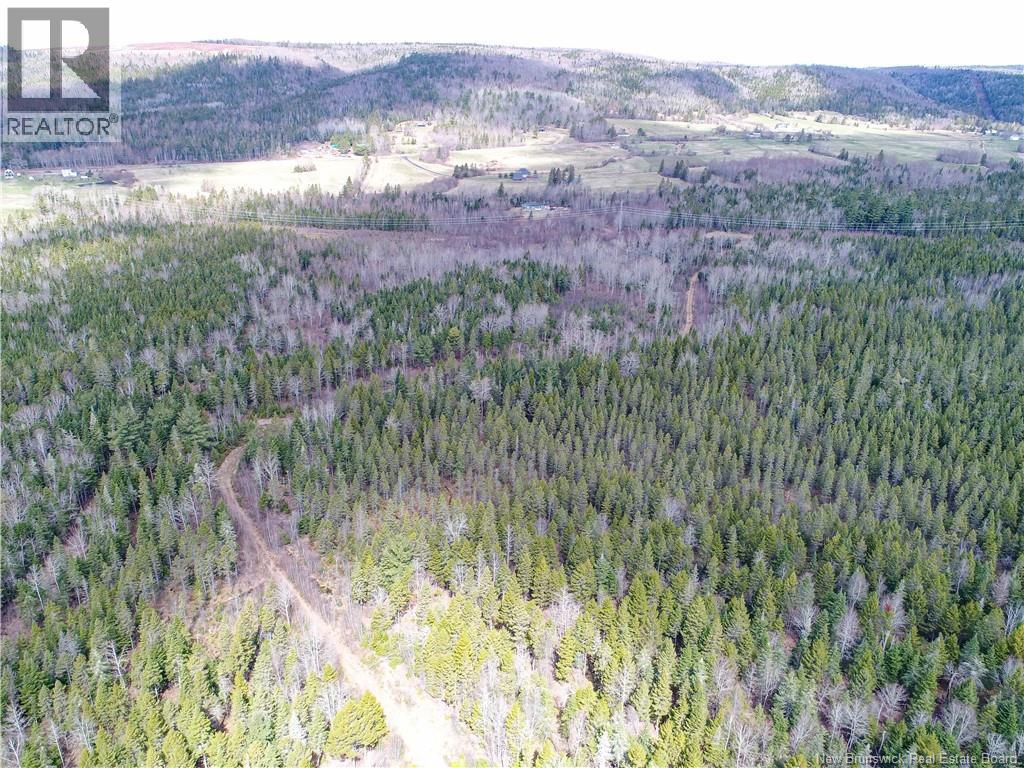 1831 Route 870, Springfield, New Brunswick  E5T 2H9 - Photo 40 - NB137480