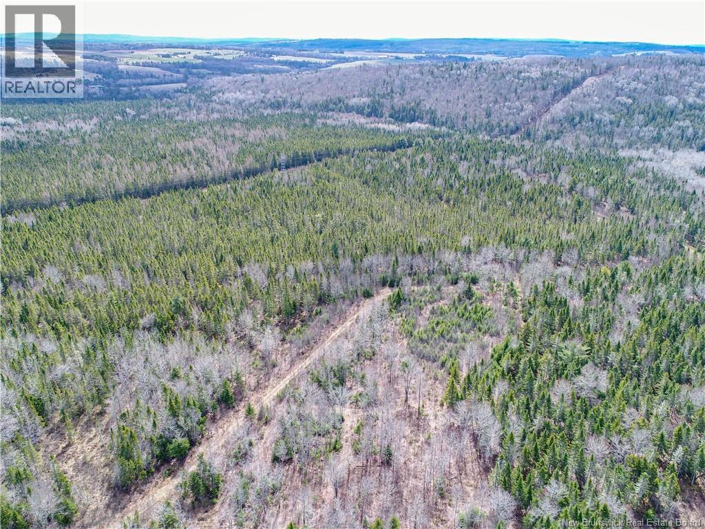 1831 Route 870, Springfield, New Brunswick  E5T 2H9 - Photo 37 - NB137480