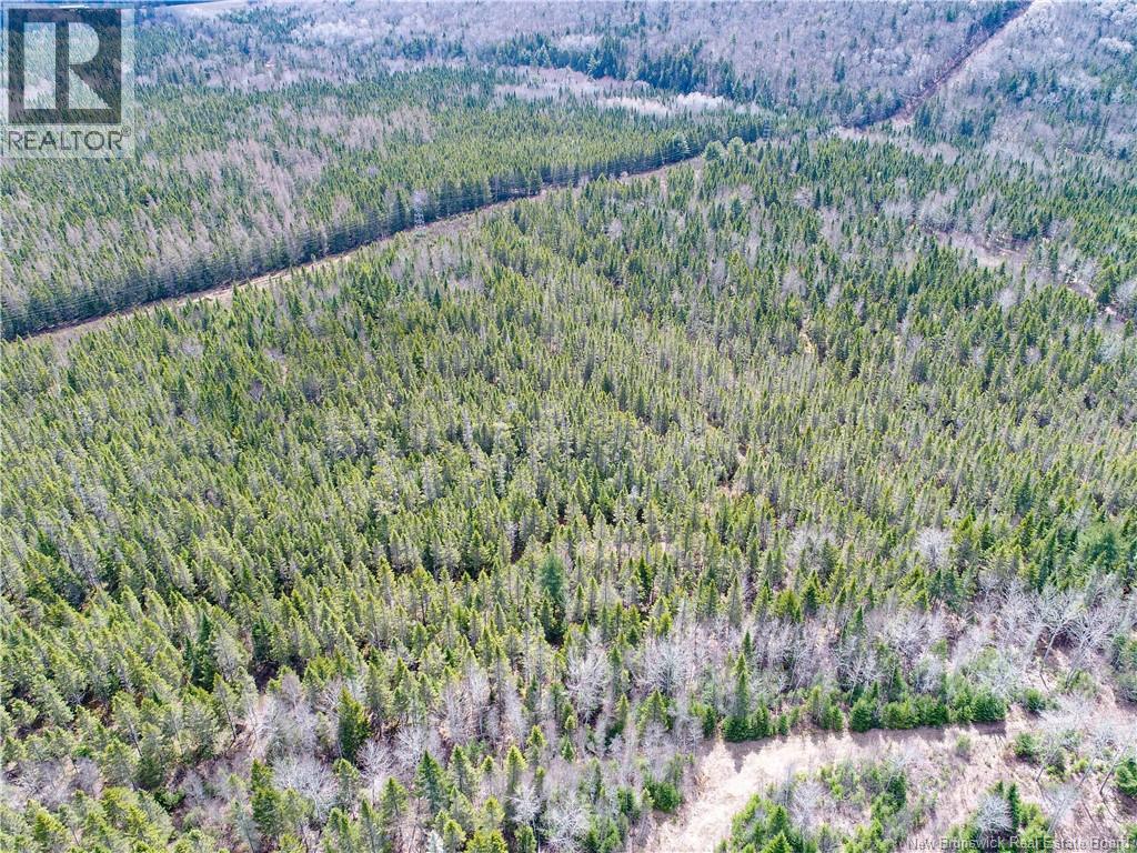 1831 Route 870, Springfield, New Brunswick  E5T 2H9 - Photo 38 - NB137480