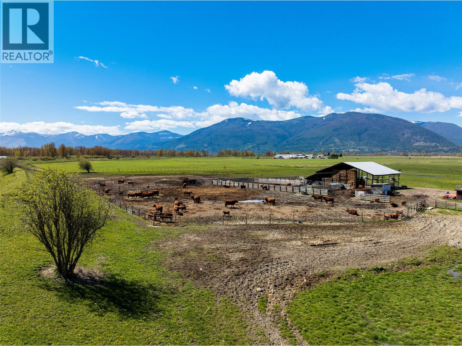 305 Kootenay River Road, Creston, British Columbia  V0B 1G0 - Photo 32 - 2466359