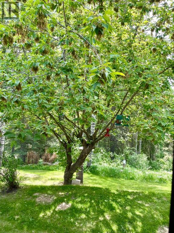 35 Ferrier Drive, Rural Clearwater County, Alberta  T4T 2A4 - Photo 43 - A2293431