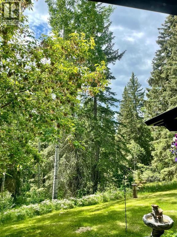 35 Ferrier Drive, Rural Clearwater County, Alberta  T4T 2A4 - Photo 45 - A2293431