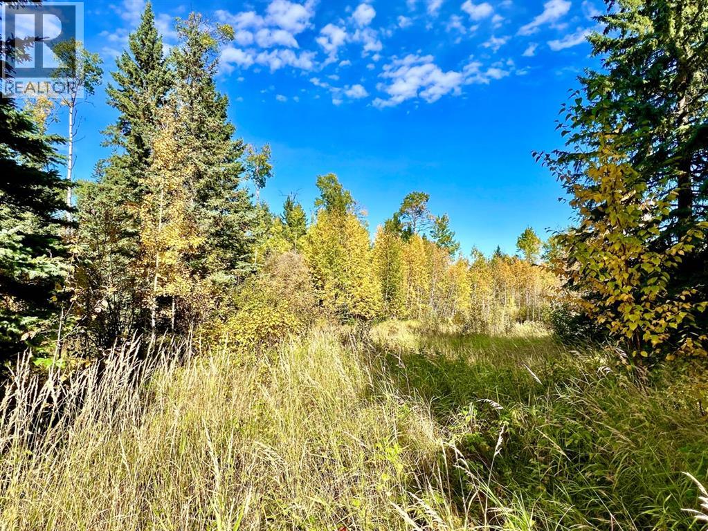 4 Forest Close, Rural Clearwater County, Alberta