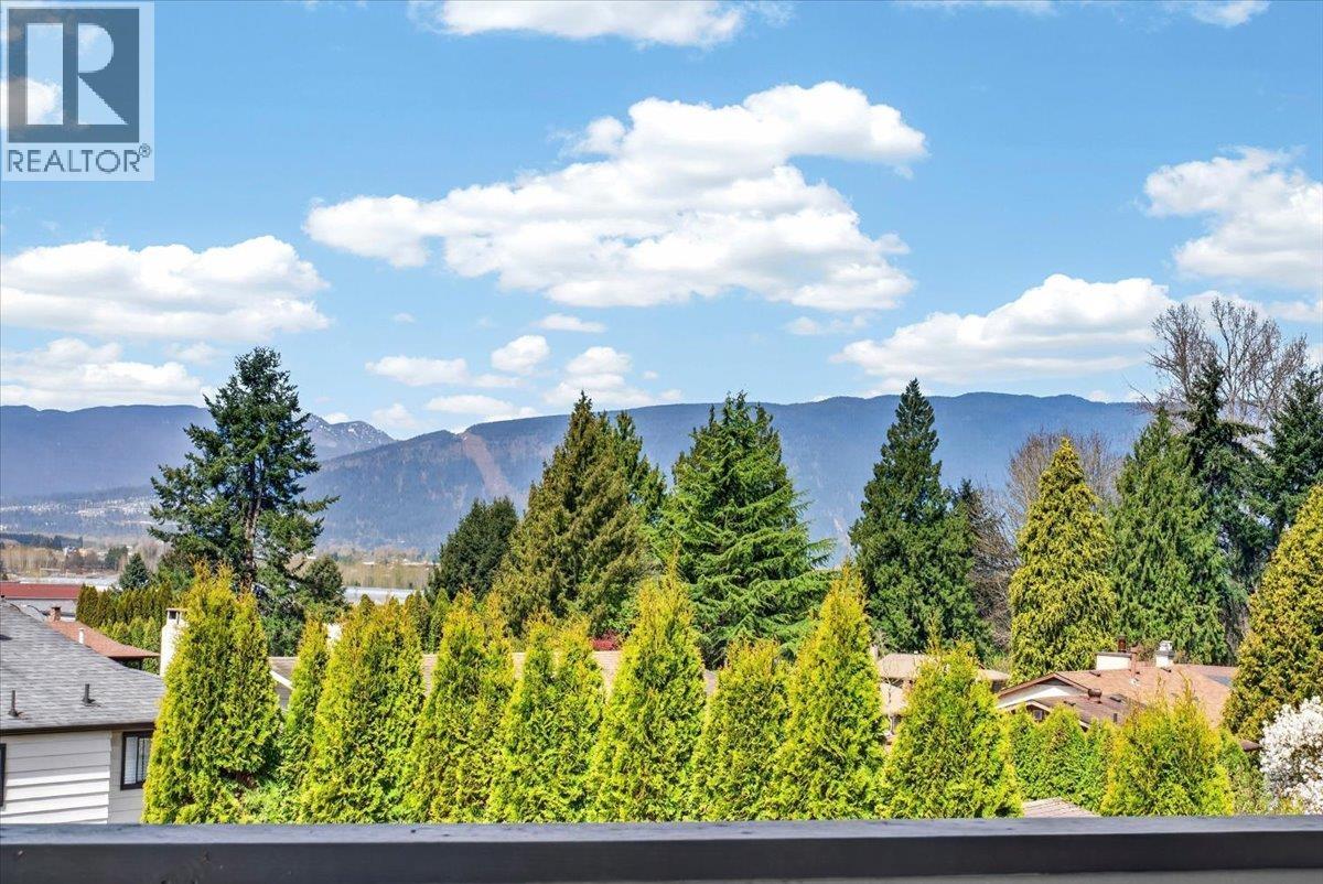 12377 Dawson Place, Maple Ridge, British Columbia  V4R 2L6 - Photo 19 - R3113328