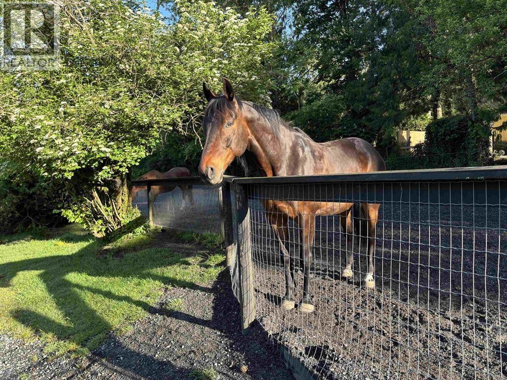 11693 246 Street, Maple Ridge, British Columbia  V4R 1K7 - Photo 3 - R3113383